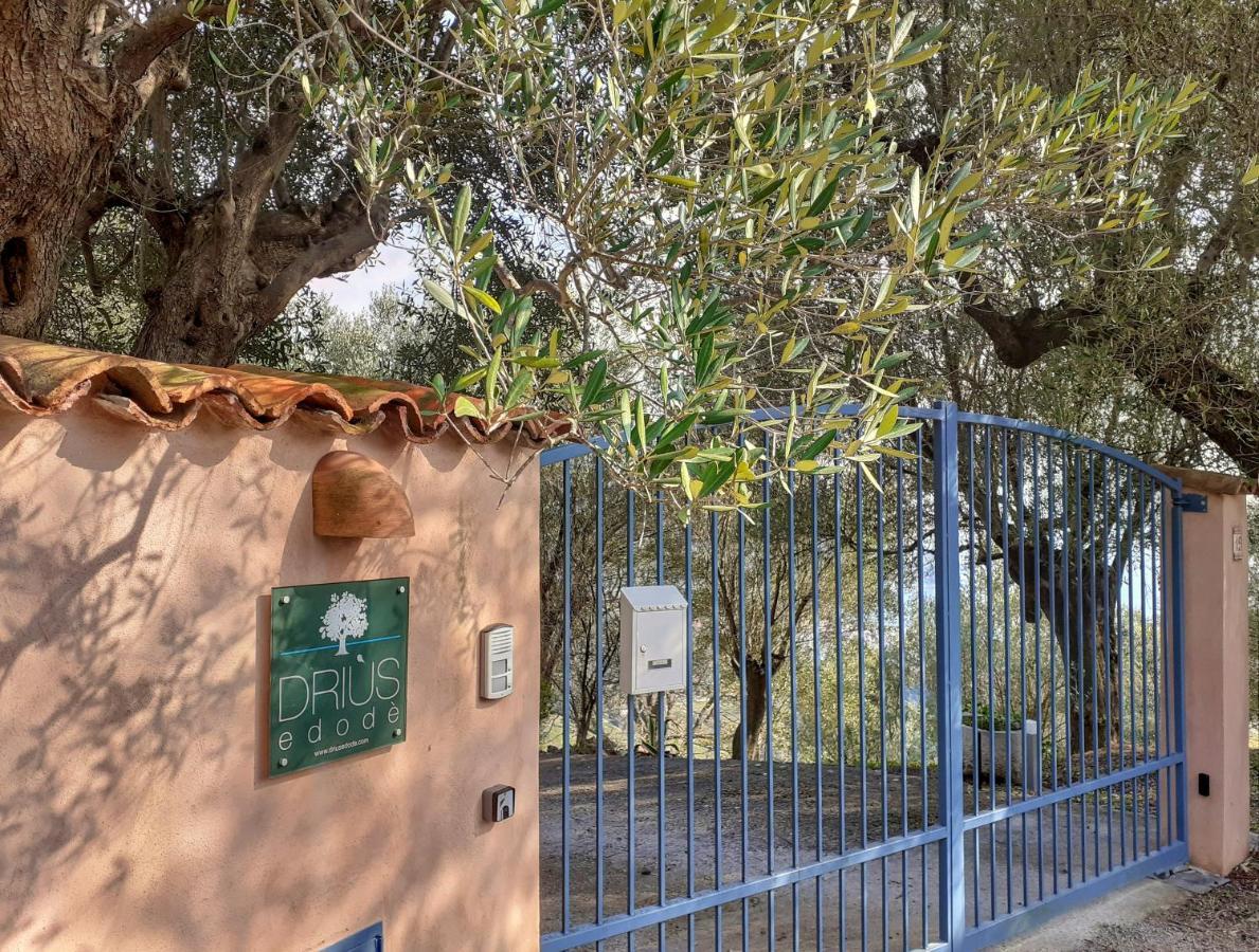 Driùs edodè - b&b affittacamere Torraca Esterno foto